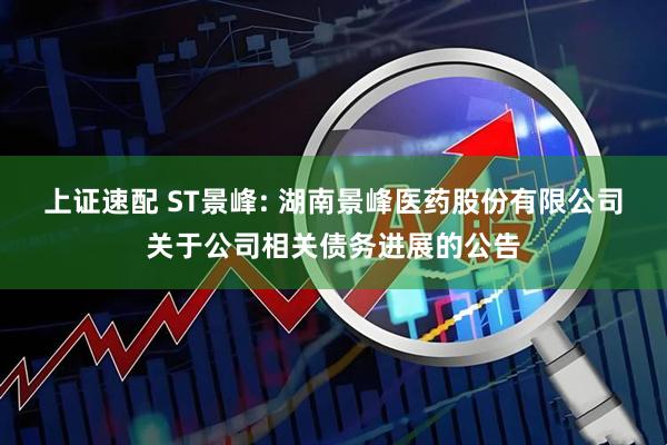 上证速配 ST景峰: 湖南景峰医药股份有限公司关于公司相关债务进展的公告