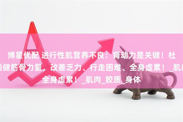 博星优配 进行性肌营养不良：肾动力是关键！杜仲搭一宝，强健筋骨力量，改善乏力、行走困难、全身虚累！_肌肉_胶质_身体