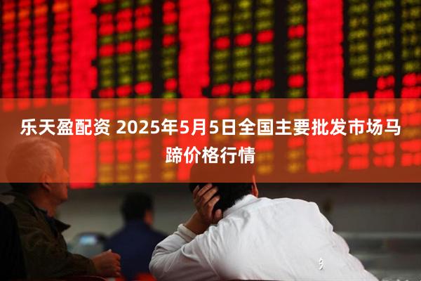 乐天盈配资 2025年5月5日全国主要批发市场马蹄价格行情